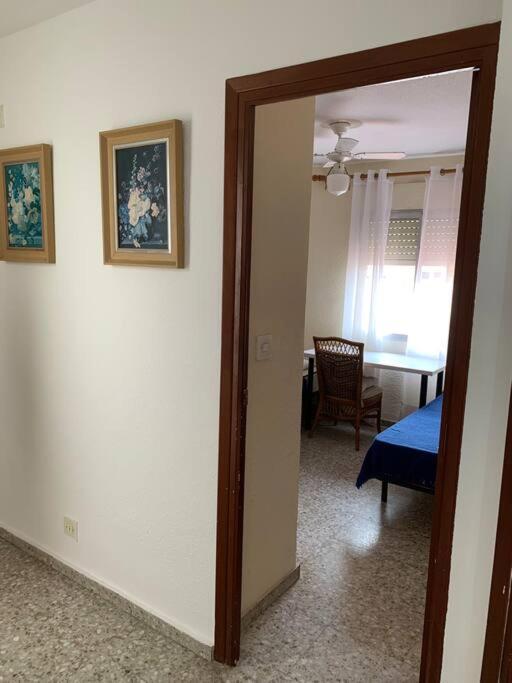 Cozy Room Guapo-Alicante Nearby The Beach And The Center Dış mekan fotoğraf